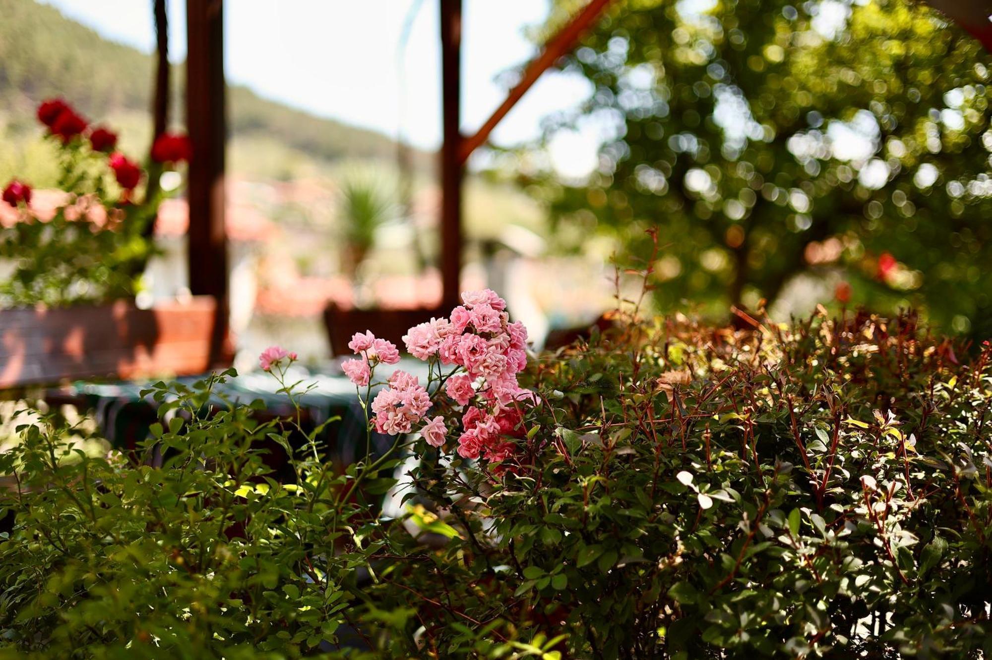 Iliikova House Hotell Kalofer Exteriör bild